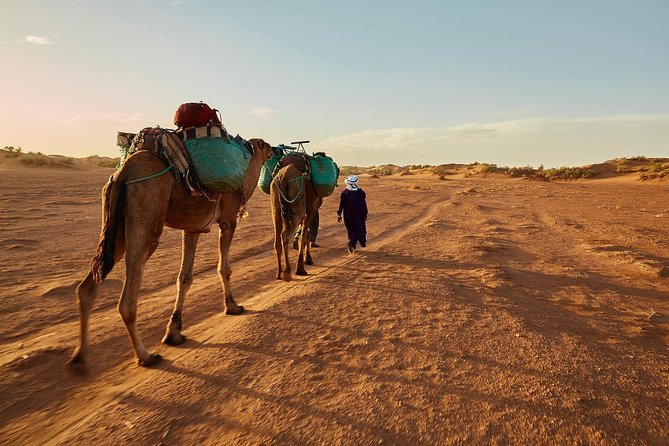 5 Days Sahara Express and Marrakech - Booking Information
