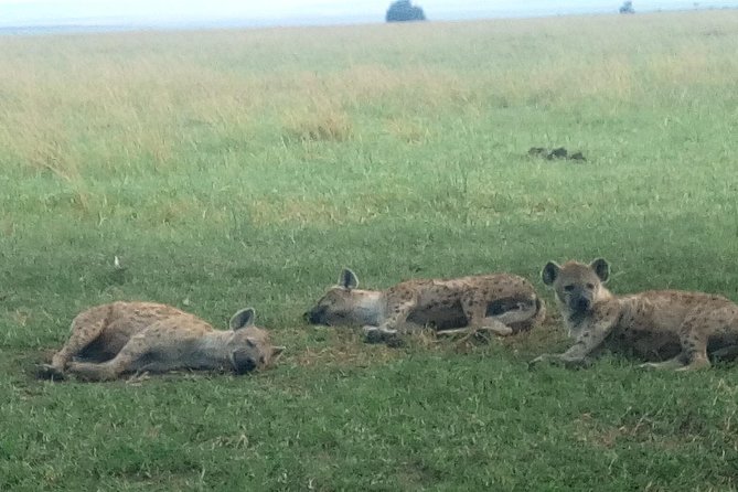 5 Days Selous & Mikumi National Park From Dar Es Salaam / Zanzibar - Safety and Health Guidelines