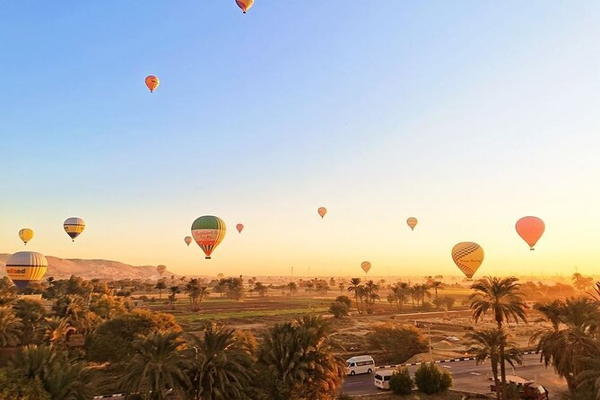 5 Tours.Luxor Supper Balloon,Kings Valley,Sailing Felucca,City Tour,Camel Ride - Camel Ride Tour Details