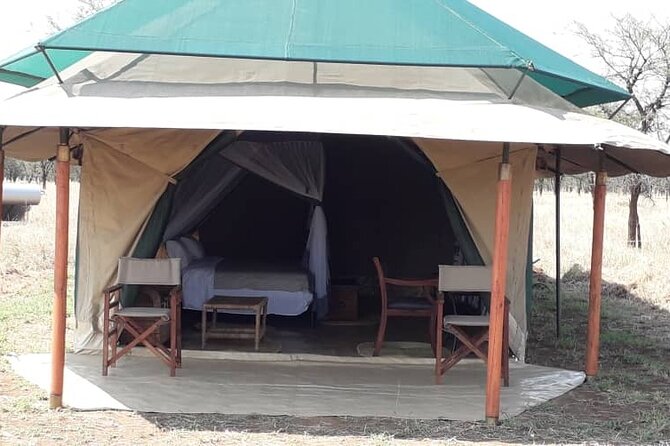6-Day Best of Tanzania Wildlife Safari- Comfort - Accessibility and Safety