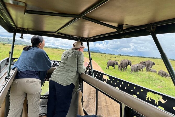 6 Day Big 5 Wildlife Safari Tour on 4x4 Land Cruiser Jeep - Pickup and Transportation