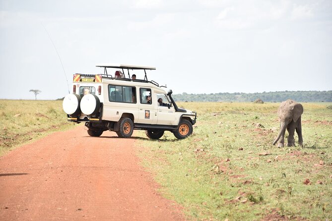 6 Day Explore Rift Valley and Masai Mara Savannah - Transportation and Pickup