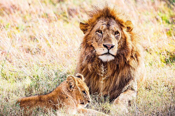6-Day Private Tour in Samburu, Nakuru and Maasai Mara - Accessibility and Safety Notices