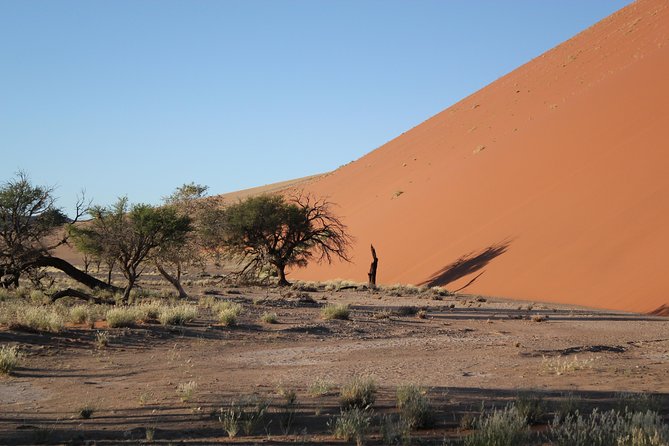 6 Day Sossusvlei to Swakopmund Self-Drive Tour (B&B & Camping) - Recommendations for Travelers