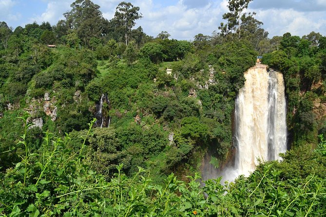 6 Days Aberdares, Lake Bogoria & Masai Mara Wildlife Safari - Pickup Logistics