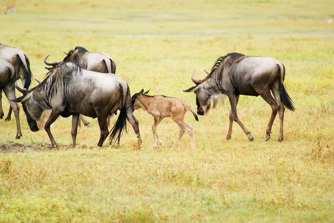 6 Days North Circuit Adventure – Luxury - Tour Inclusions