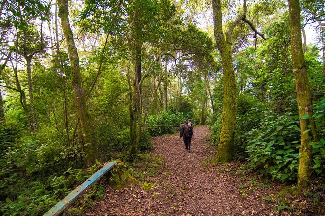 6 Days Primates and Game Drive Safari in Uganda - Tour Inclusions and Exclusions
