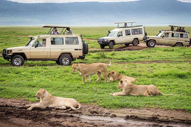 6-Days Private Luxury Safari: Serengeti, Ngorongoro Crater - Pricing and Group Size
