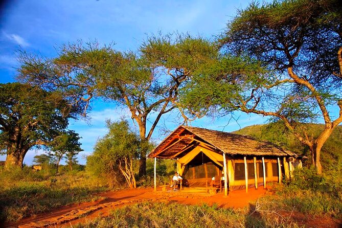 6 Days Rhino & Chimpanzee Trip to Mkomazi NP and Gombe Stream NP - Safety and Accessibility