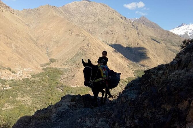 6 Days Trek Around Mount Toubkal and Lake Difni - Cancellation Policy and Pricing