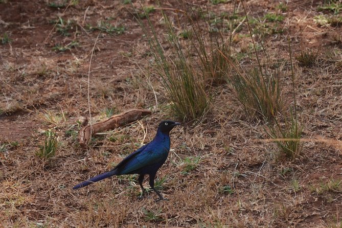 6 Exciting Days in Rwanda - Day 6: Relaxation and Departure