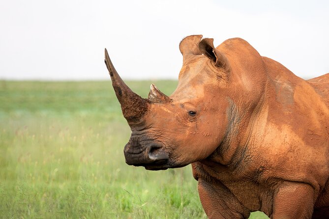 7-Day Private Northern Tanzania Safari - Packing Essentials
