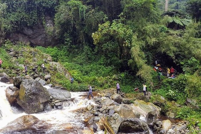 7 Days DR Congo Rwenzori Mountain Hiking – Panoramic Views (4462 M Alt) - Accommodation Information