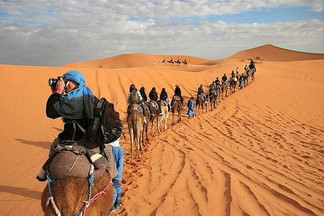7 Days : From Casablanca to Marrakech via : Fes & Merzouga Desert - Day 6: Marrakech Exploration
