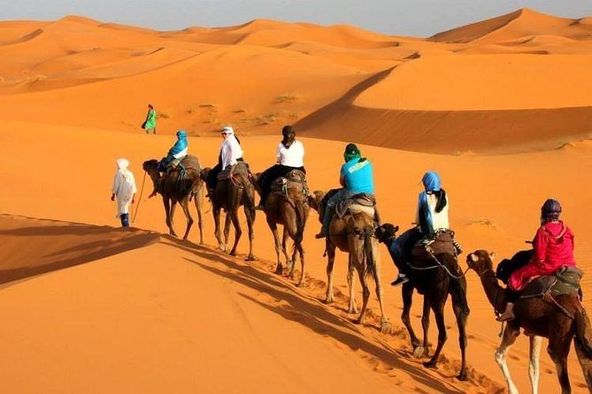 7 Days Imperial Cities and Sahara Tour From Tangier - Pricing and Reviews