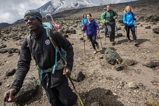 7 Days Mount Kilimanjaro Climbing- Umbwe Route - Pickup and Drop-off Details