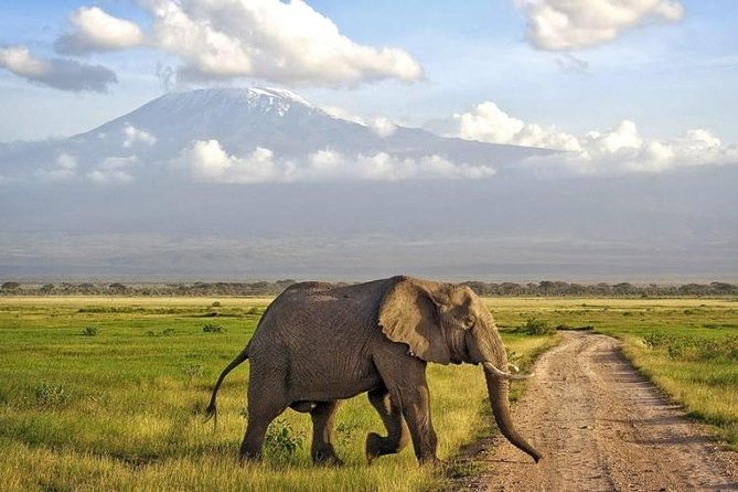 7 Days Tanzania Wildlife Migrations Adventures Safari Holiday-2021 - Packing Essentials and Tips