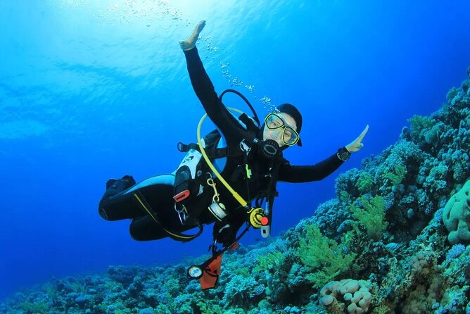 7-Hours Scuba Diving & Snorkeling With Lunch in Hurghada - Booking Details
