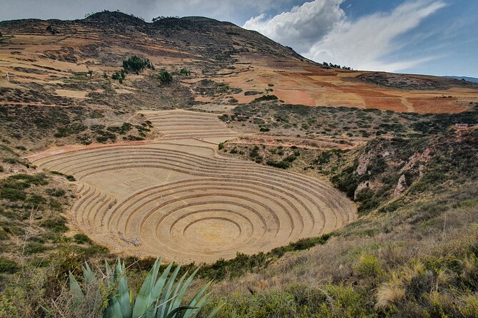 8 Day Tour Highlights of Cusco - Day 6: Local Markets and Artisans
