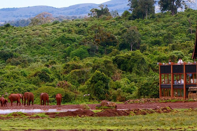 8 Days, 7 Nights Masai Mara, Lake Nakuru, Lake Naivasha, Samburu And Aberdares - Pickup and Transportation Details