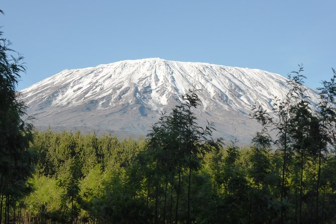 8 Days Mount Kilimanjaro Lemosho Route Climb - Day 6: Karanga Camp to Barafu Camp