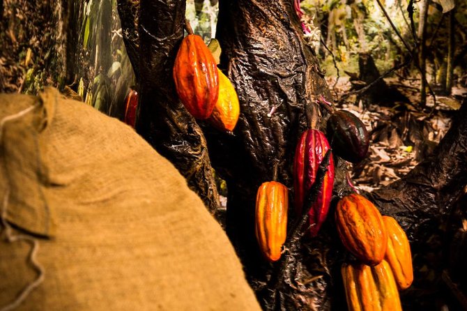 8 Days Peruvian Gastrotour From Lima - Culinary Experiences