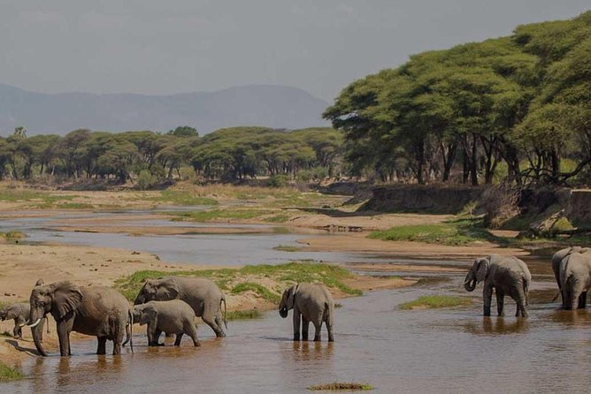 8 Days Tanzania Southern Circuit Safari - Transportation Logistics