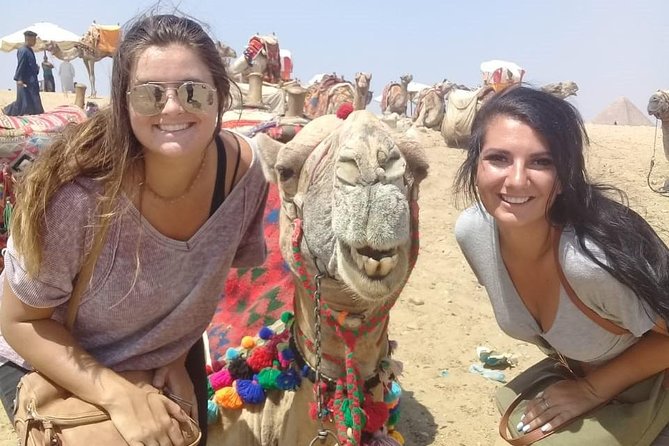 8-Hours Giza Pyramids ,Sphinx and Egyptian Museum From Cairo/Giza Hotels - Contact Information