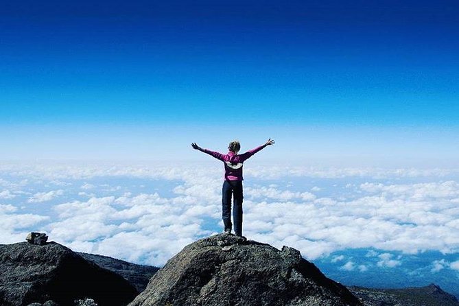 9-Day Lemosho Route to Kilimanjaro From Arusha and Crater Camp - Pricing and Booking