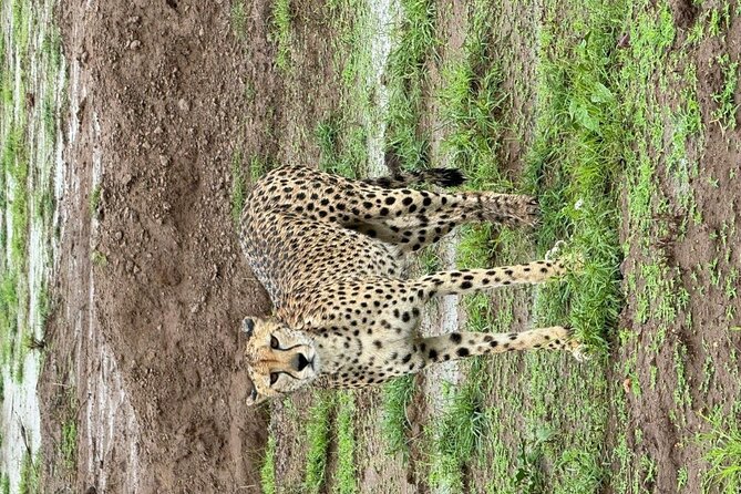9 Day Mgahinga Gorilla Trek Mara Lake Nakuru & Naivasha Park - Directions & Maps