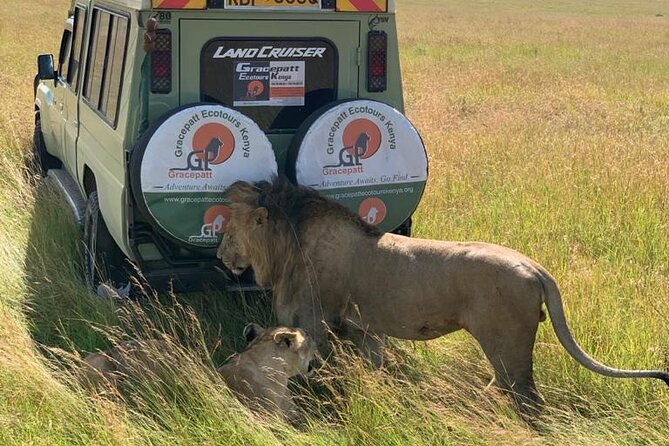9 Days Best of Kenya Wildlife Safari on a 4WD - Pickup and Drop-off