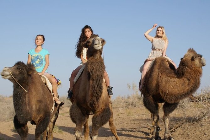 9-Days Tour to Uzbekistan From Tashkent - Frequently Asked Questions