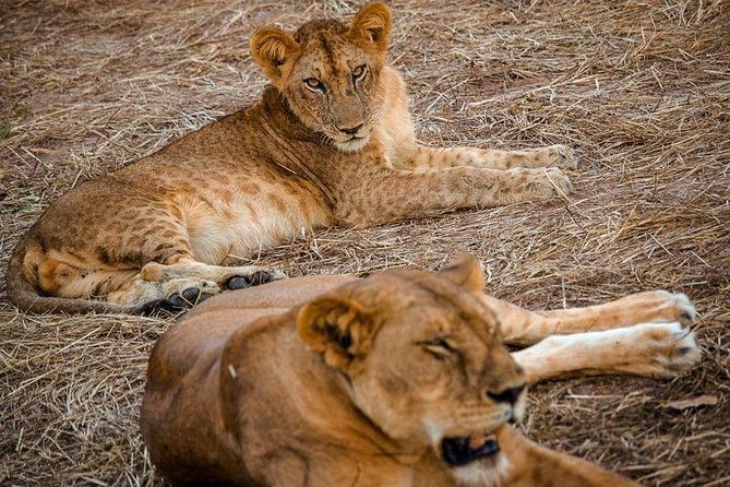 A-7 Days Combo Safari - Pricing Details