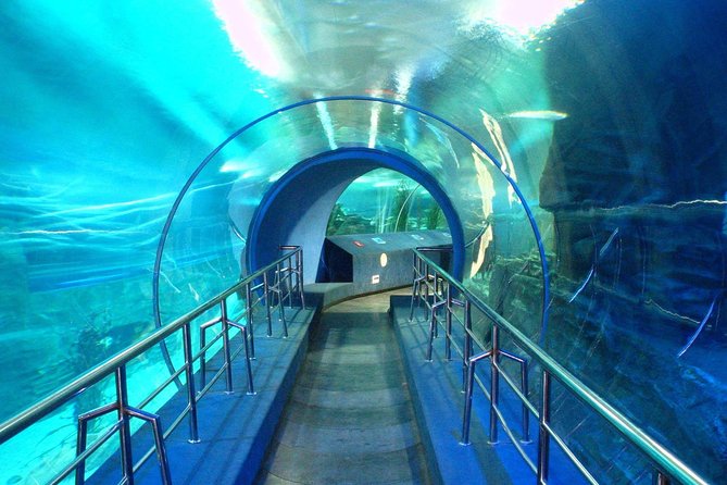 A Beijing Day for Kids Including Chaoyang Theater Acrobatics Show - Tour Highlights