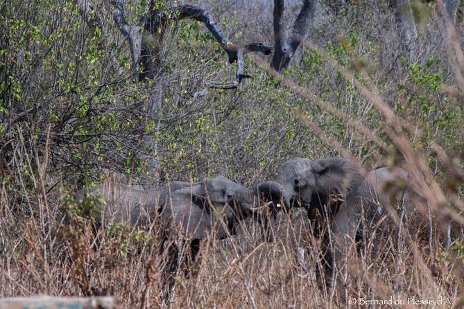 A Private Chobe Full Day Trip -Bostwana - Cancellation Policy