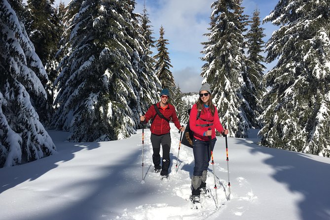 A Snowshoeing Day in Vitosha Mountains - Pricing: Starting From 9.56