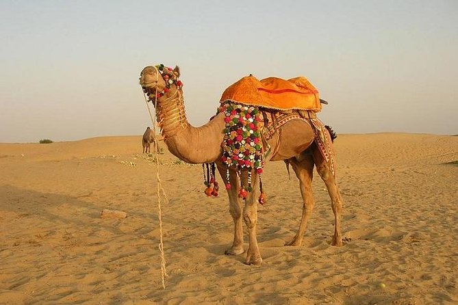 A Two Night Excursion To Jaisalmer From Jodhpur By Private Transfer - Excursion to Sam Desert