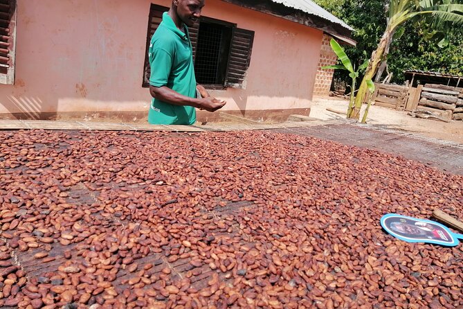Aburi Botanical Gardens and Cocoa Farm - Private Tour - Cancellation Policy