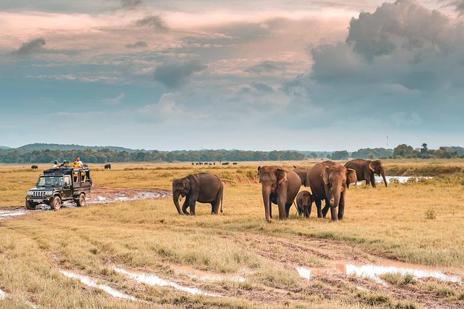 Afternoon Safari to Kaudulla National Park - Frequently Asked Questions