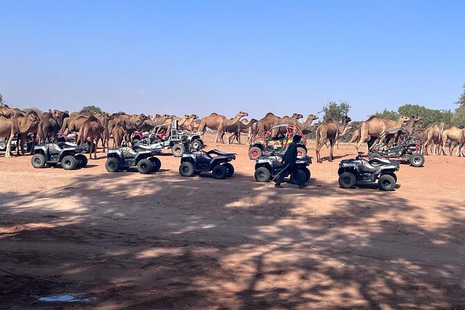 Agadir by Quad: Adventure Express - Pricing and Group Limitations