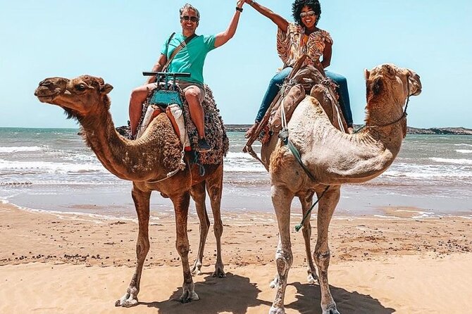 Agadir Camel Ride Experience With BBQ Include - Maximum Travelers Limit