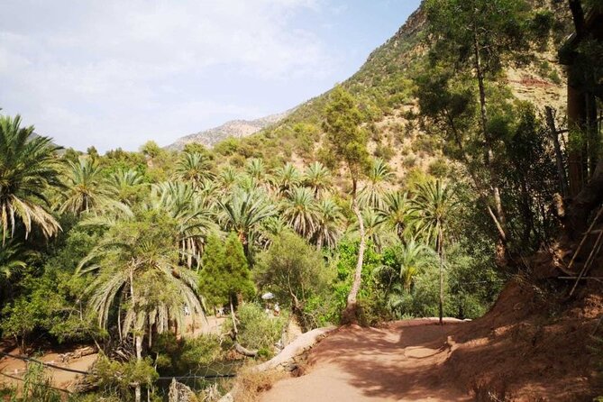 Agadir Day Trip to Timlalin Dunes and Paradise Valley - Price and Reservation