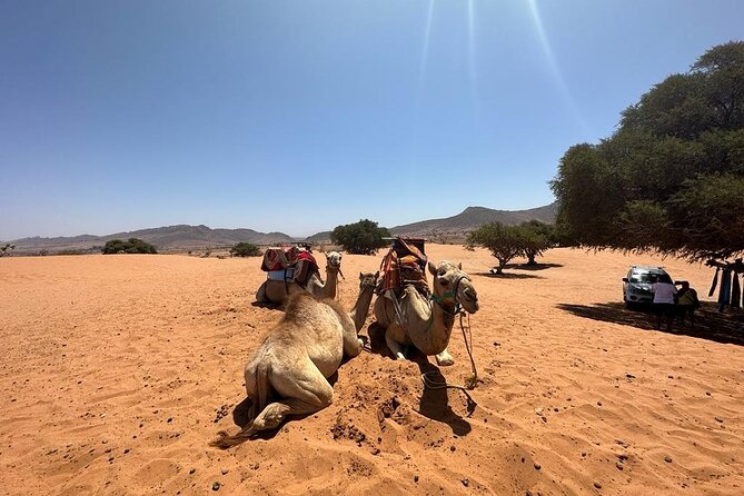 Agadir Desert Safari Day Tour With Lunch - Pickup Information