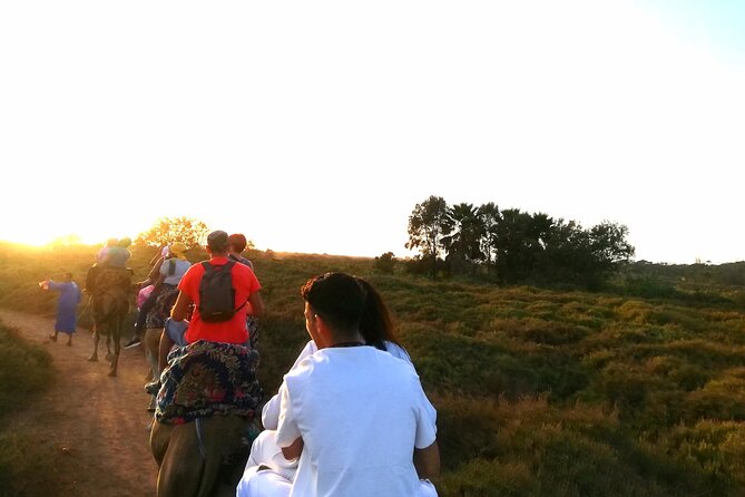 Agadir Sunset Camel Ride With Hotel Transfers - Highlights of the Camel Ride