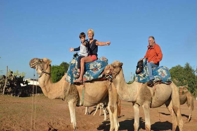Agafay Berber+Dromedary Evening + Sunset + BBQ Dinner - Pricing Information