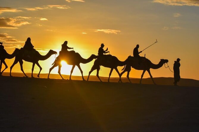 Agafay Desert Sunset Camel Ride With Dinner in Camp - Meeting Point Information