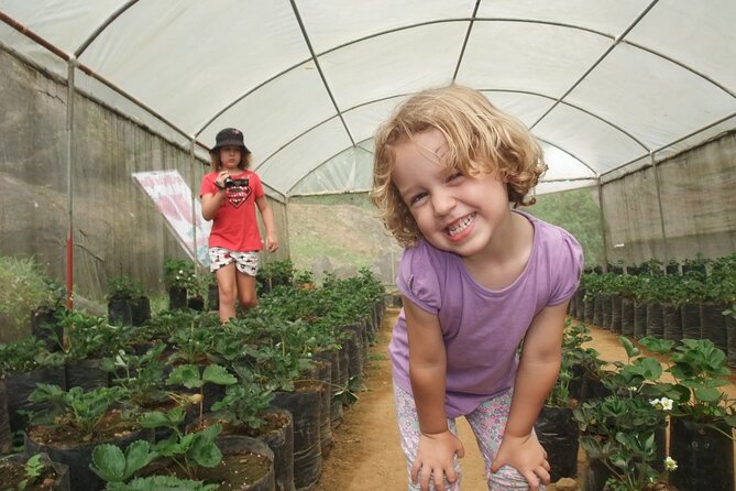 Agro Tour of Sri Lanka (5 Days) - Directions and Guidelines