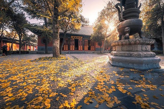 All-Inclusive Customized Luoyang Layover Tour With Shaolin Temple - The Sum Up