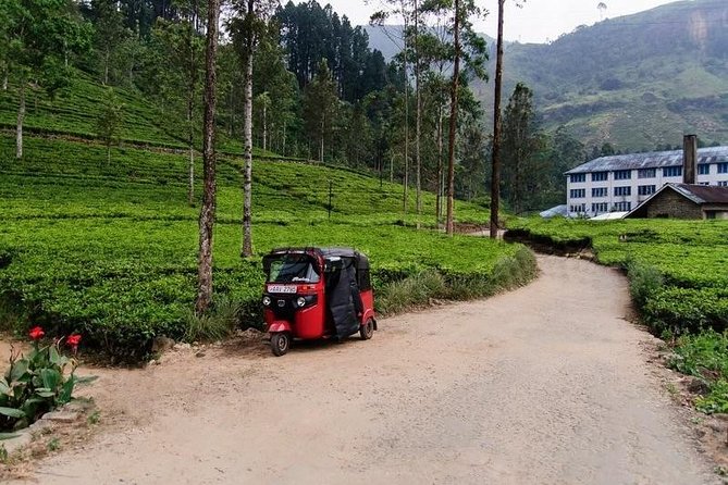 All Inclusive - Explore Countryside of Nuwara Eliya by Tuk-Tuk - Price and Booking Information