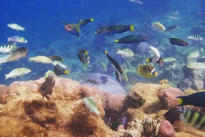 All Inclusive:Bali to Gili Islands | Snorkeling + Transfers + Stay-3Days/2Nights - Trip Highlights